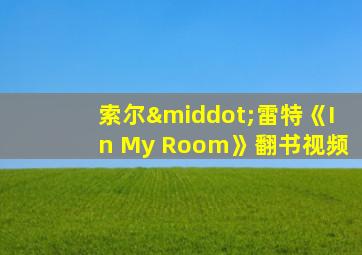 索尔·雷特《In My Room》翻书视频